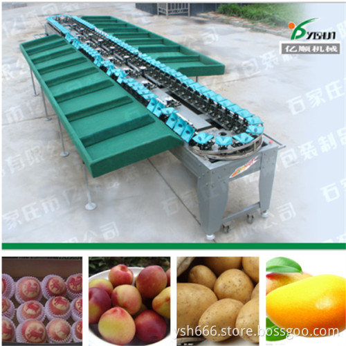 Apple sorting machine YSXS-76-16-100 factory price